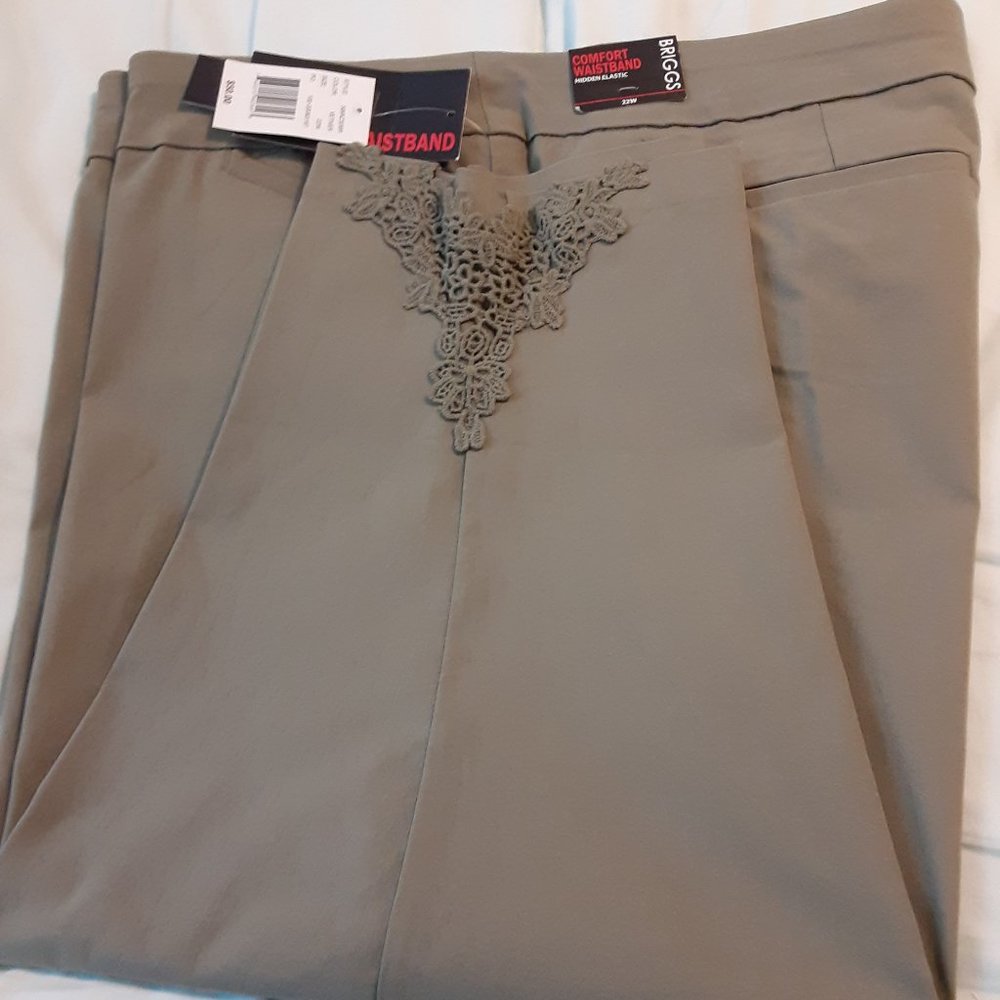 Briggs - Ankle Pant - Size 22W